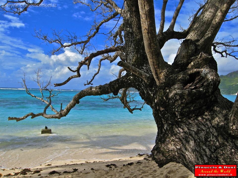 SEYCHELLES - 853 - Mahe, Anse Royale Bay.jpg